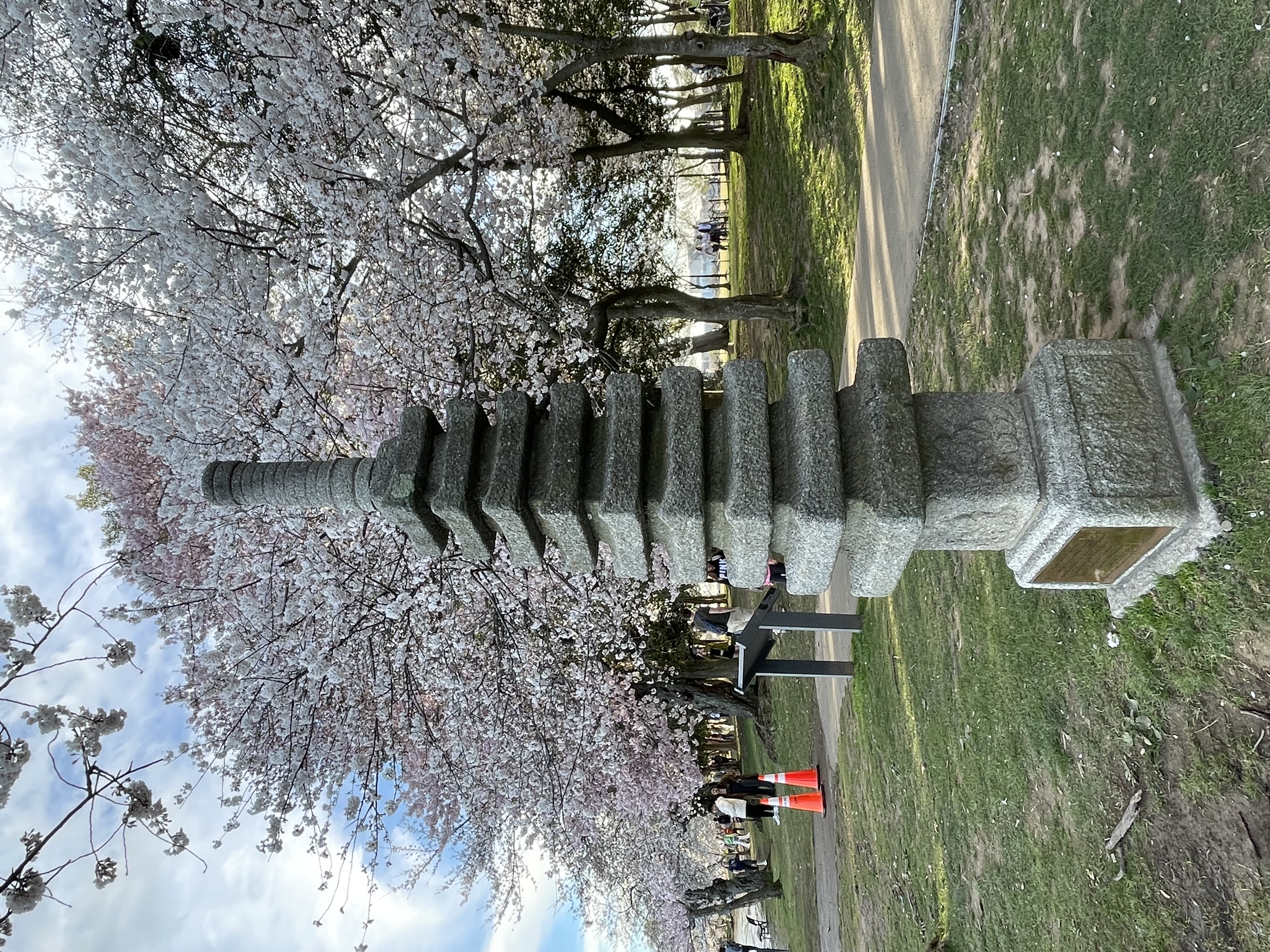 Spring break in Washington DC