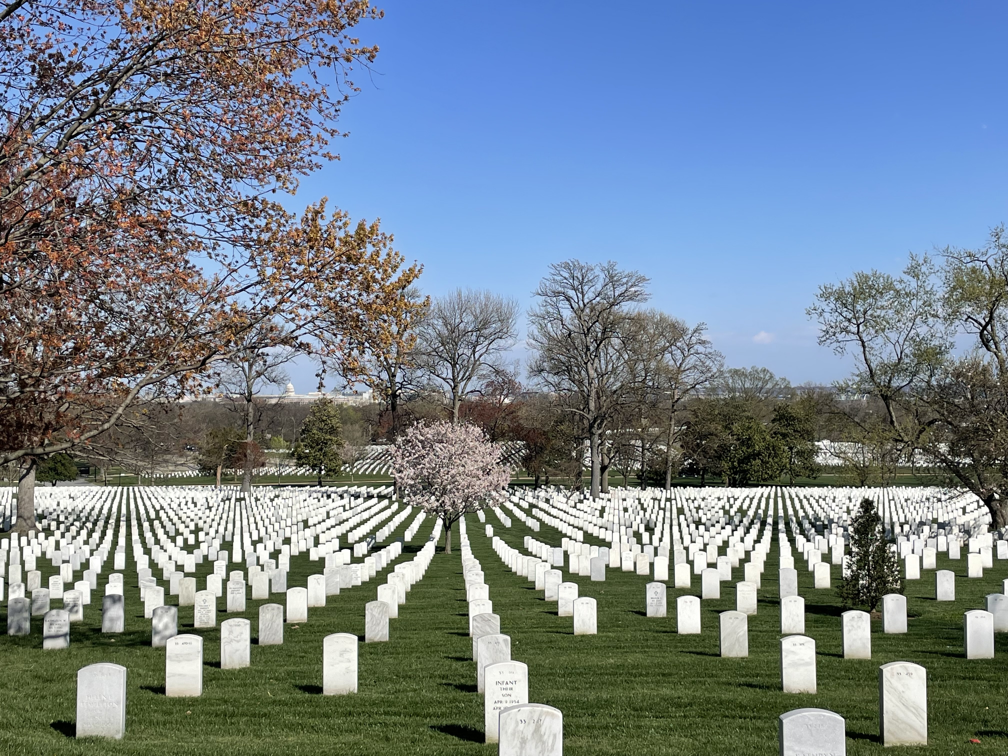 Spring break in Washington DC