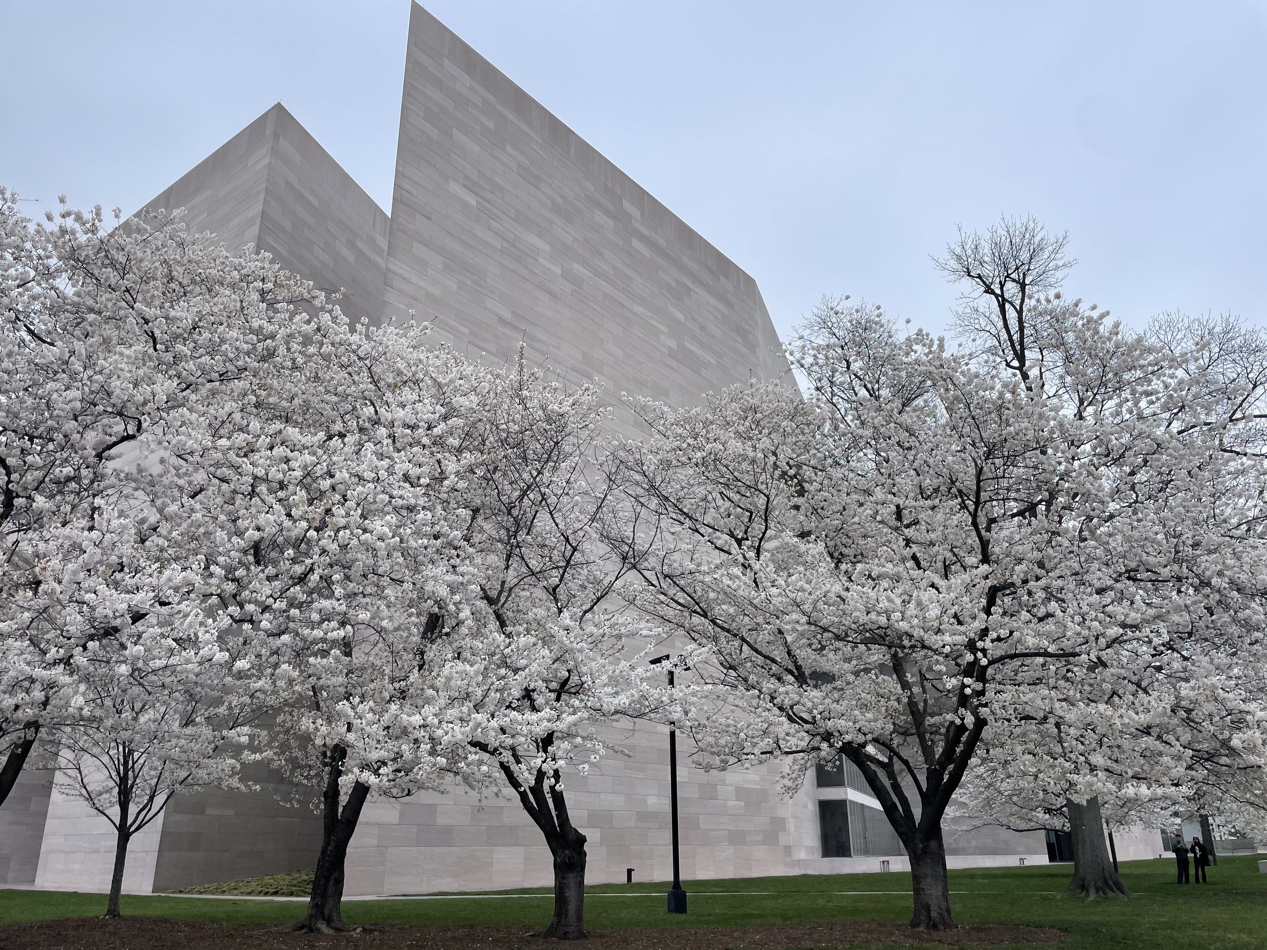 Spring break in Washington DC