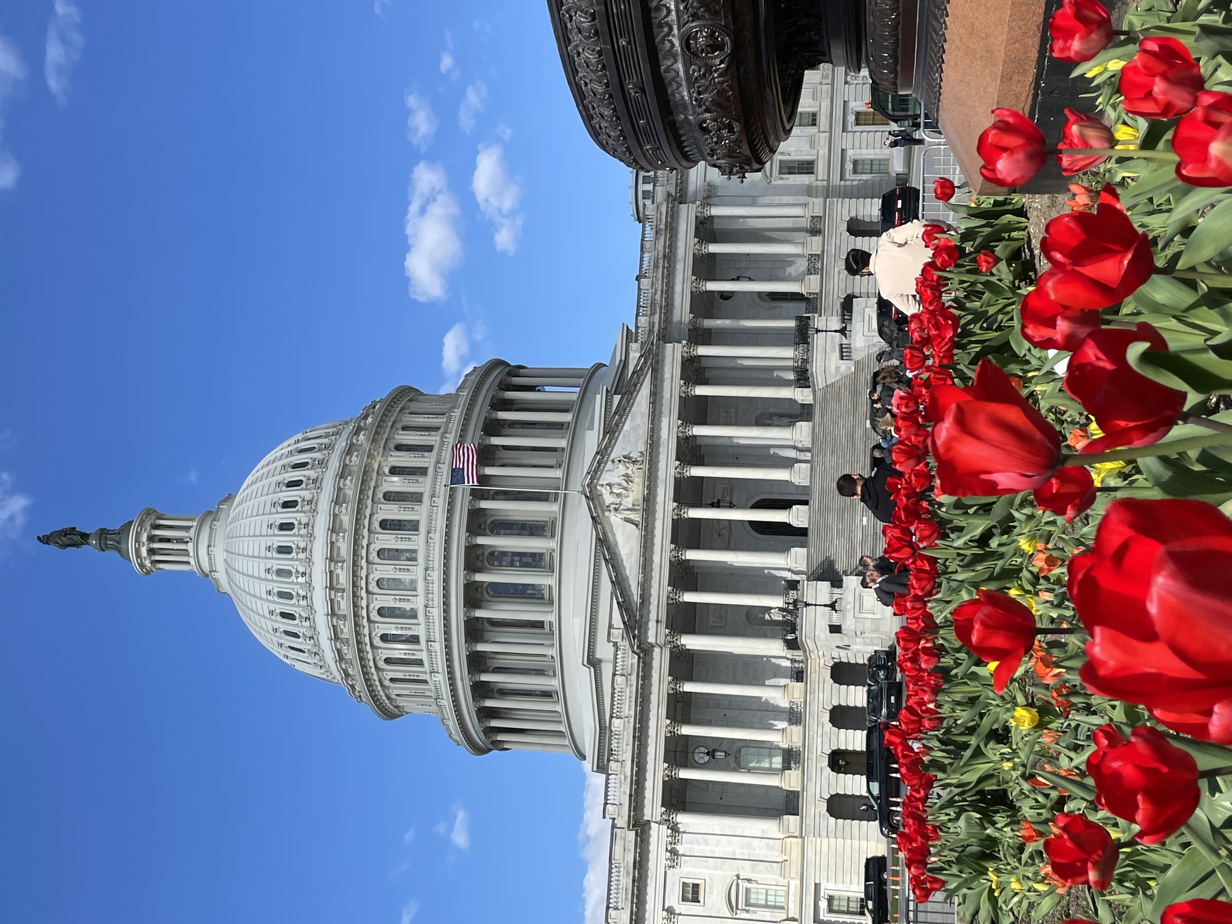 Spring break in Washington DC