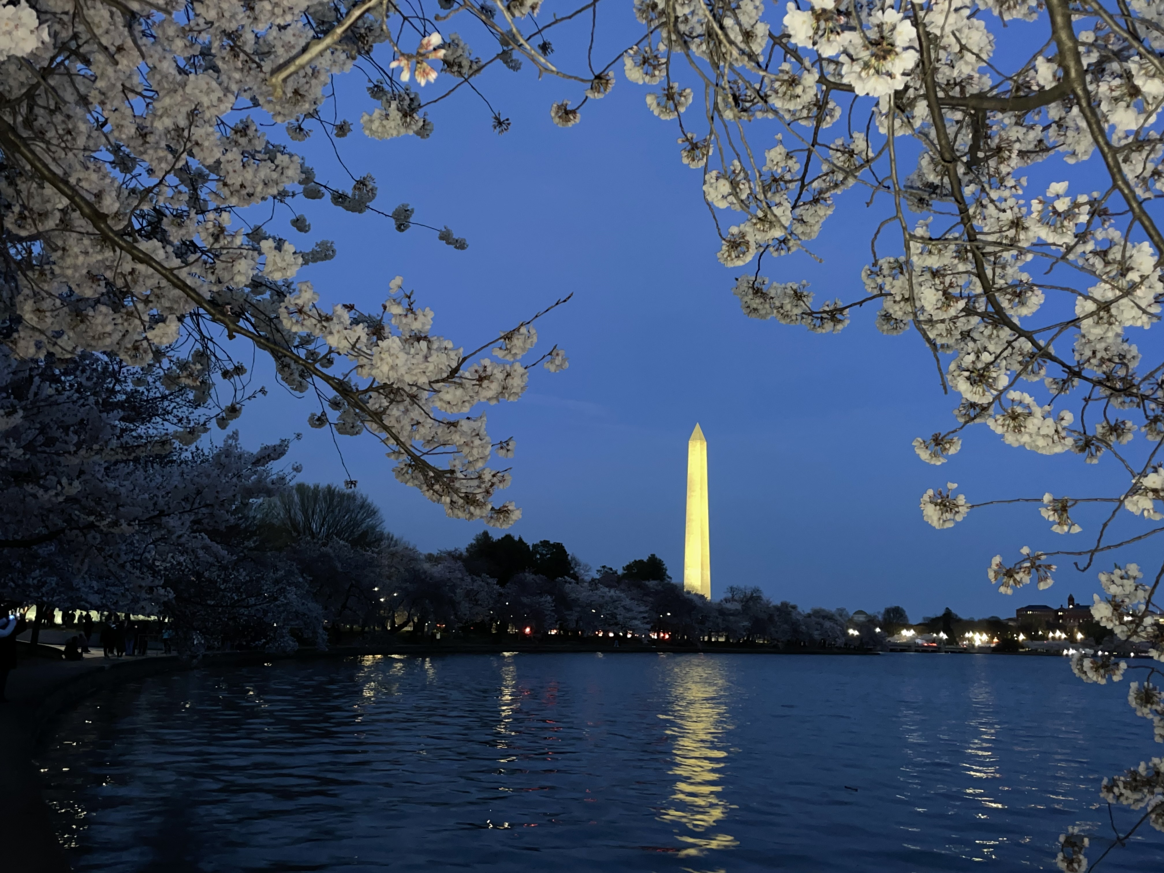 Spring break in Washington DC