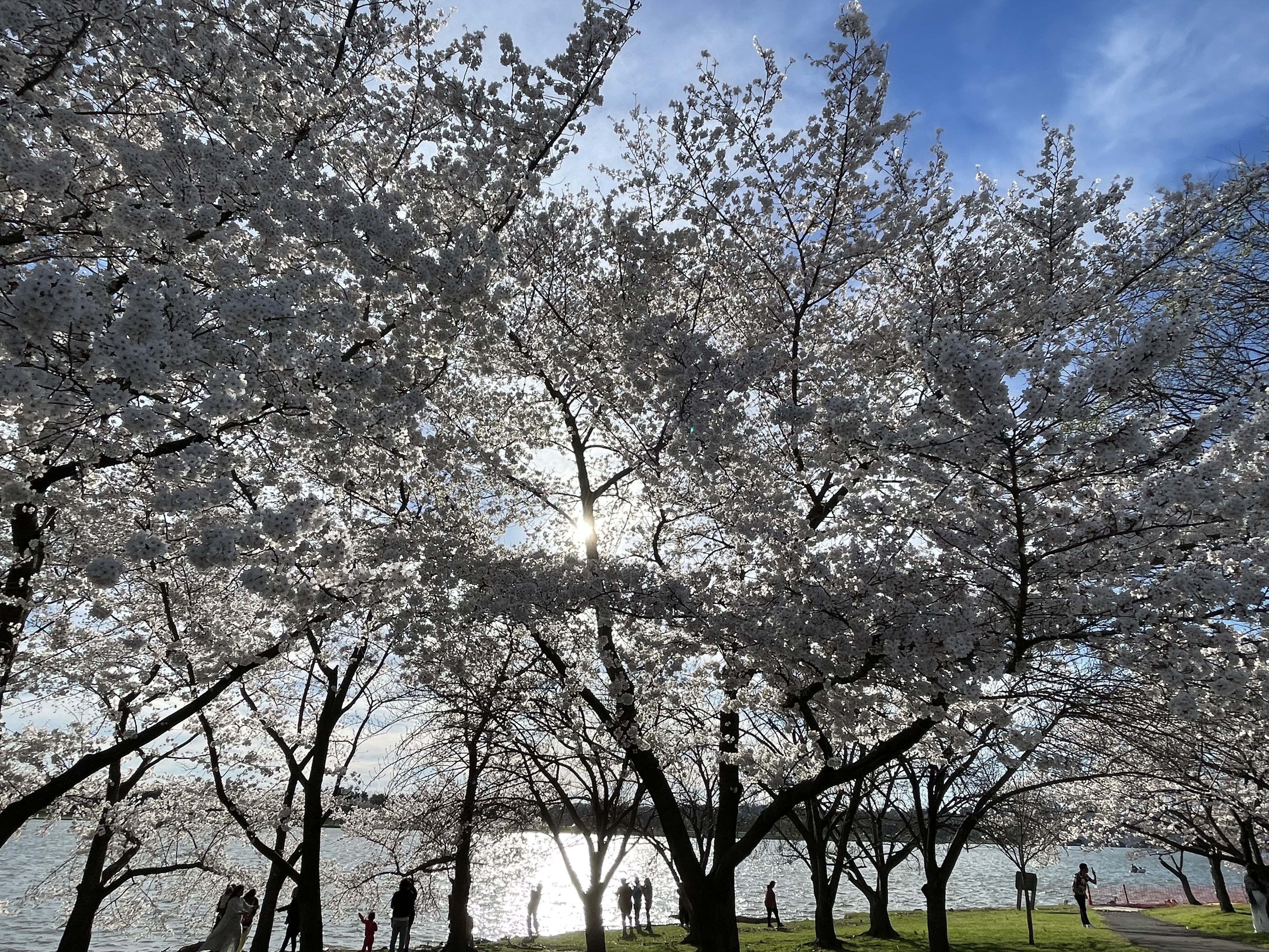 Spring break in Washington DC
